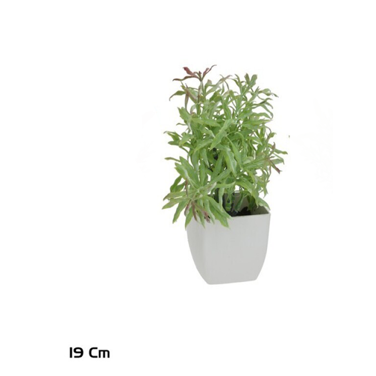Plastic Pot Herb - 19cm