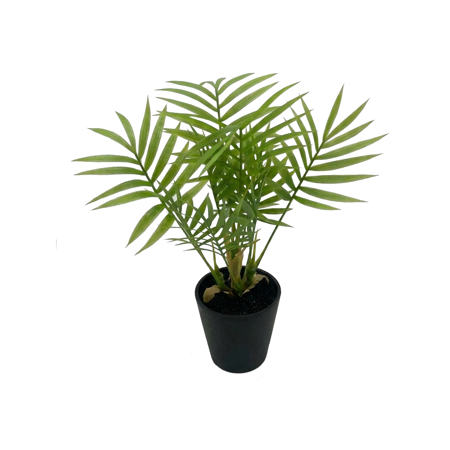 Palm Pot -34 cm