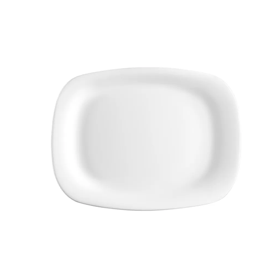 Rectangular Plate 21 cm