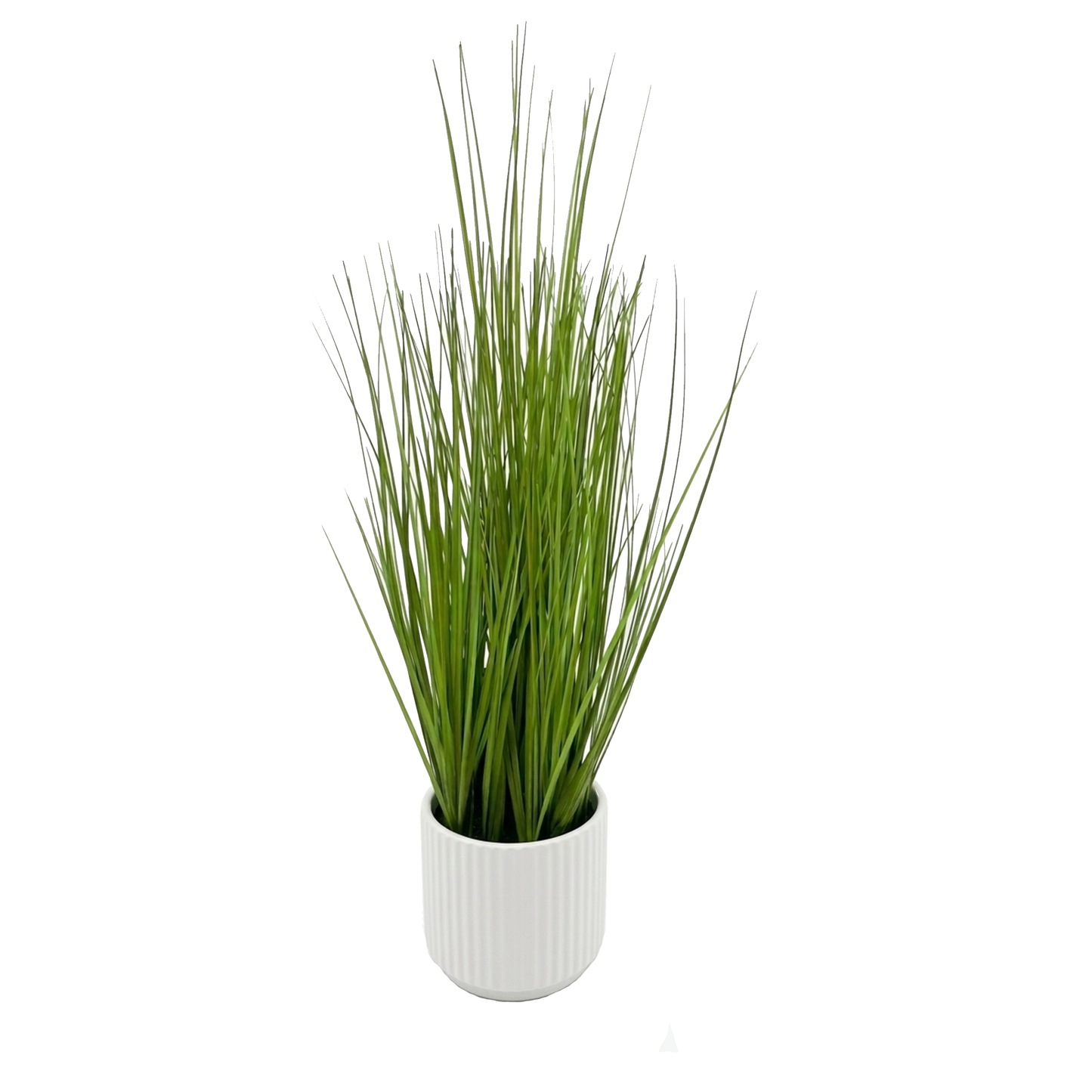 Decorative Grass - 48cm