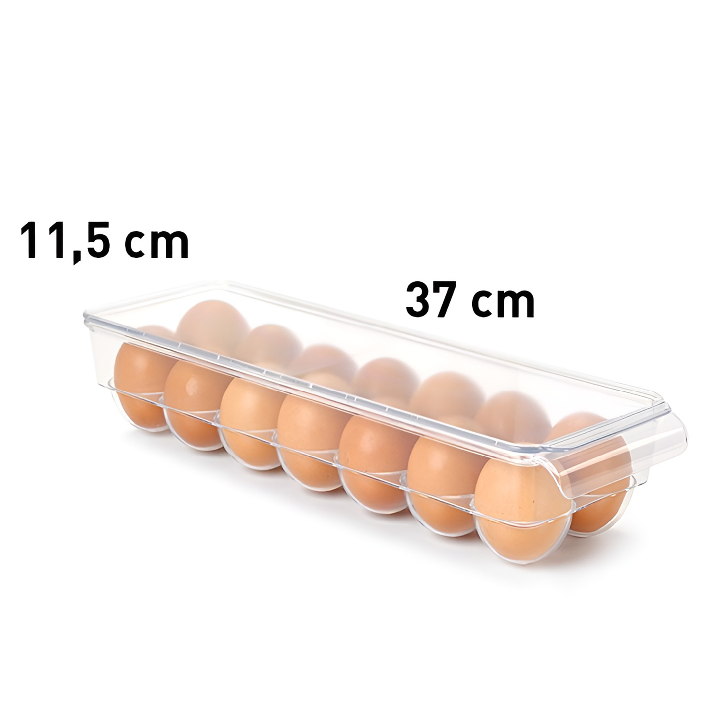 Egg Box
