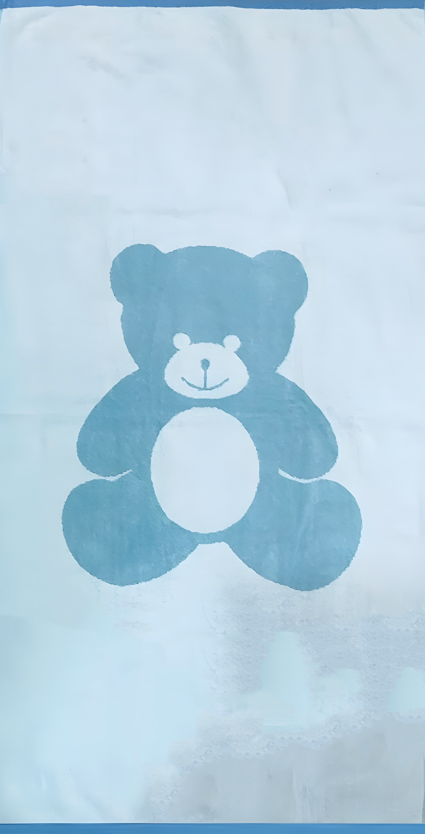 Assorted Shelly Velour Beach Towel