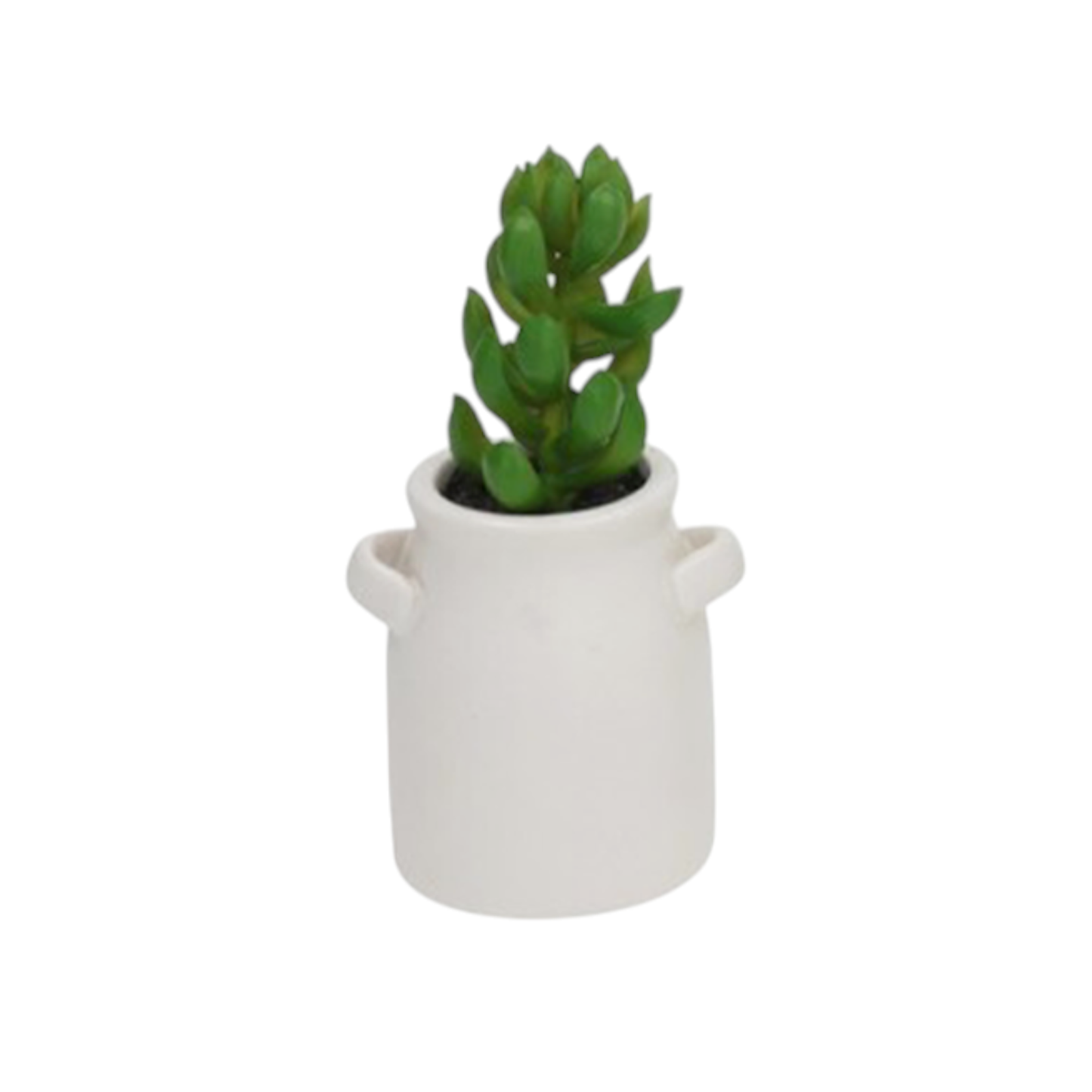 Amfora Succulents Pot - 15cm