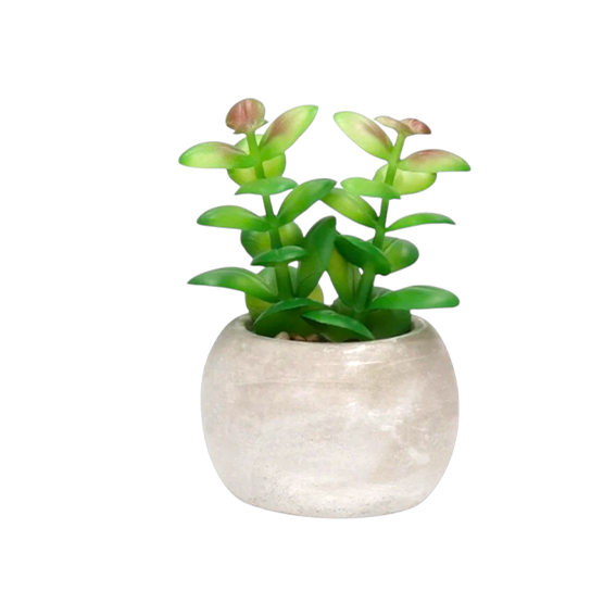 Orlando Pot - 6x6x4.5cm