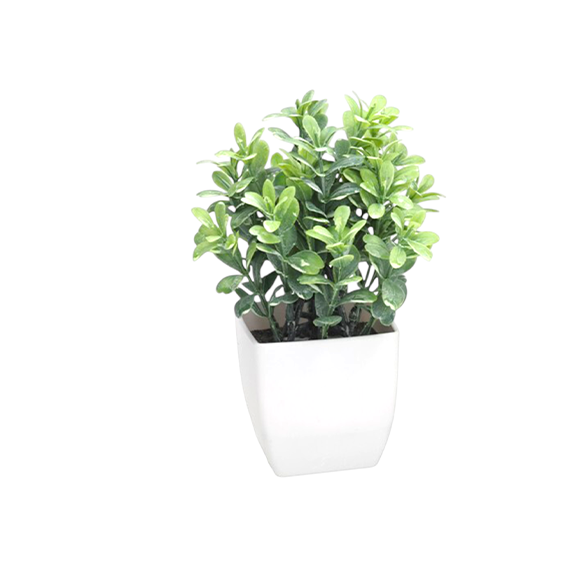 Plastic Pot Herb - 19cm