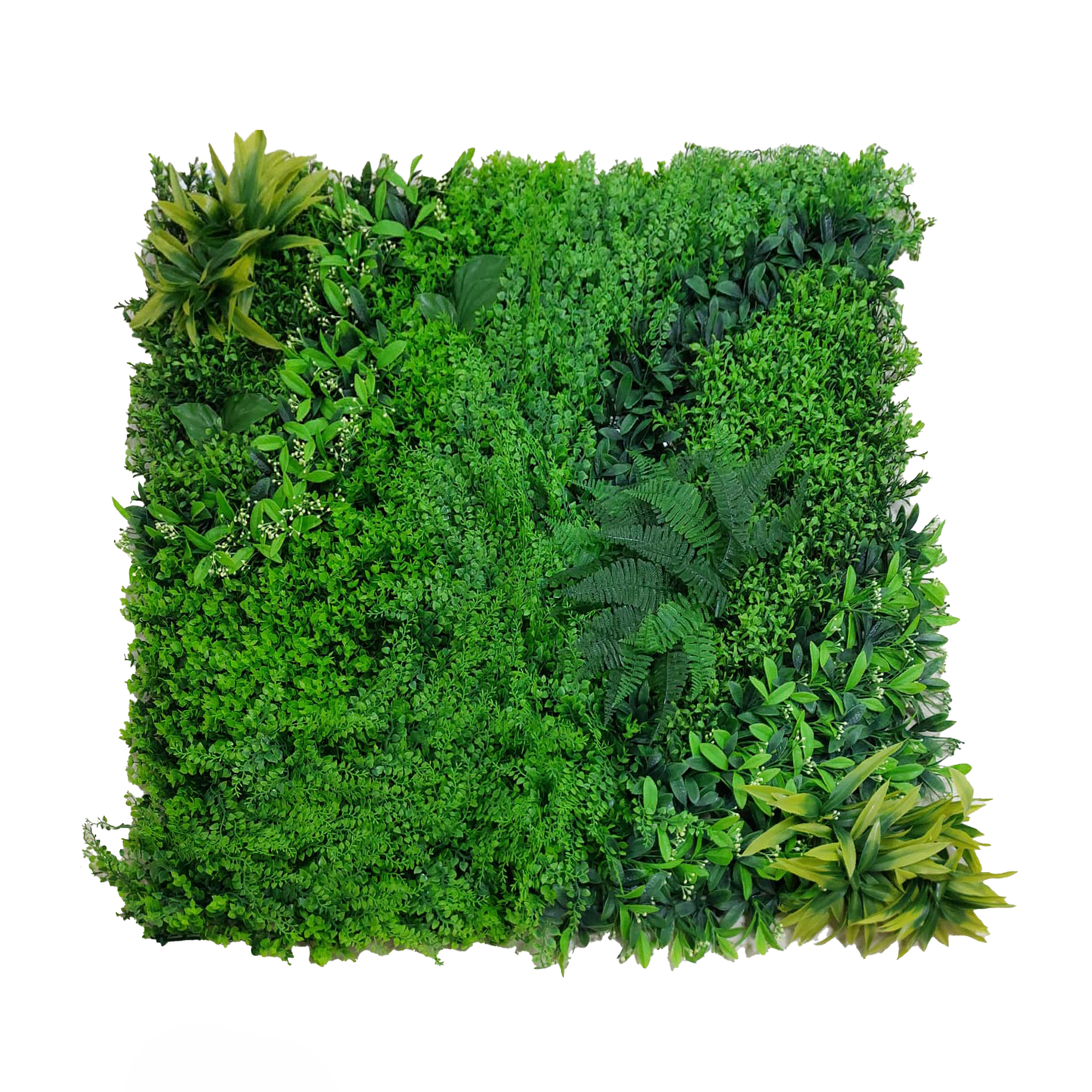 Vertical Garden 1x1m