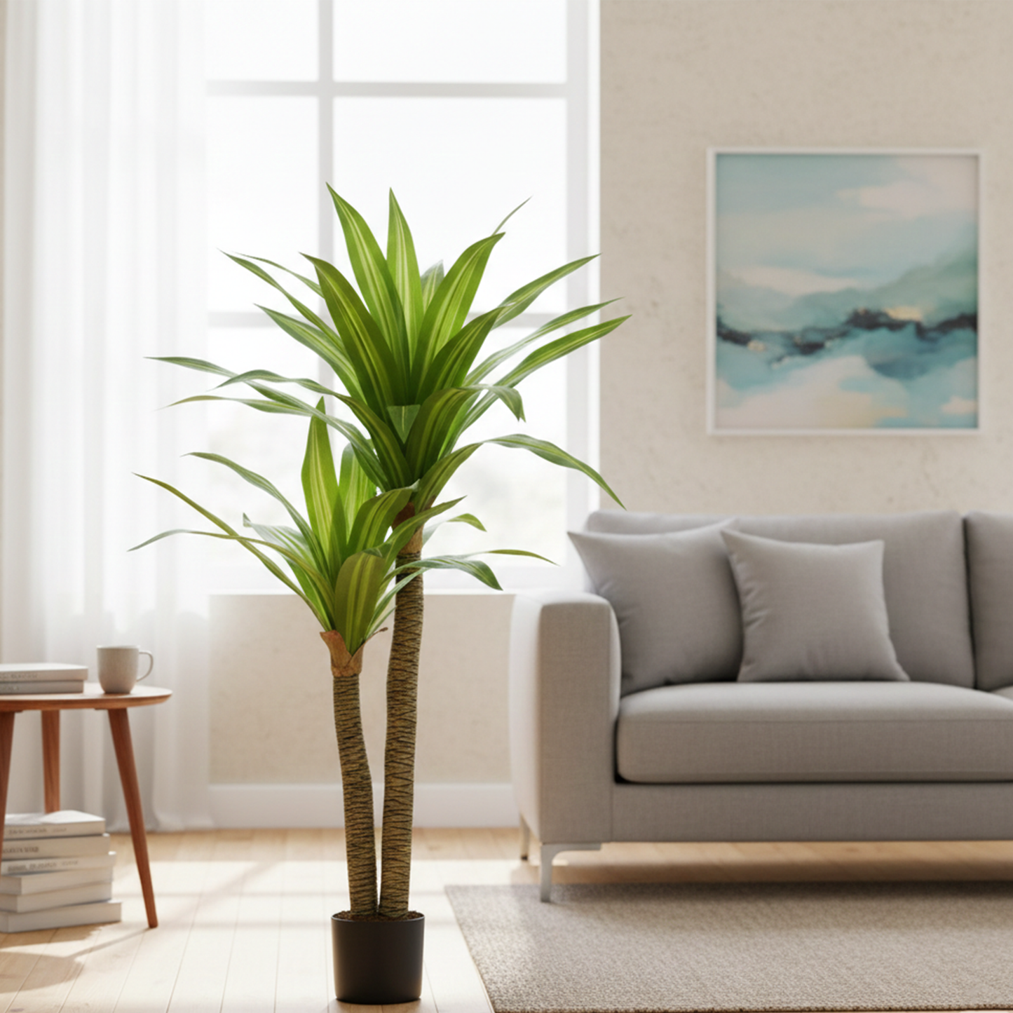 Dracaena Tree