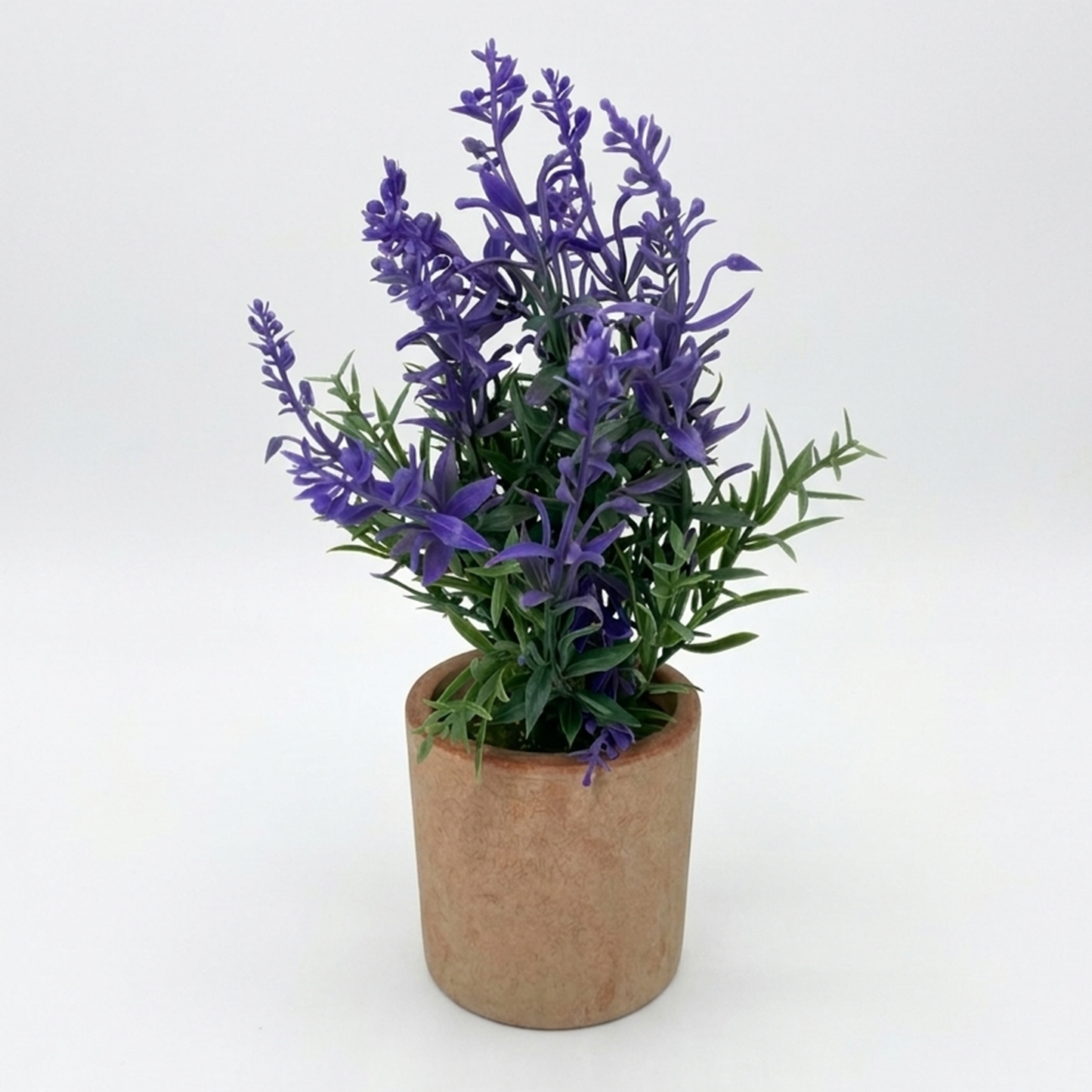Lavender plant
