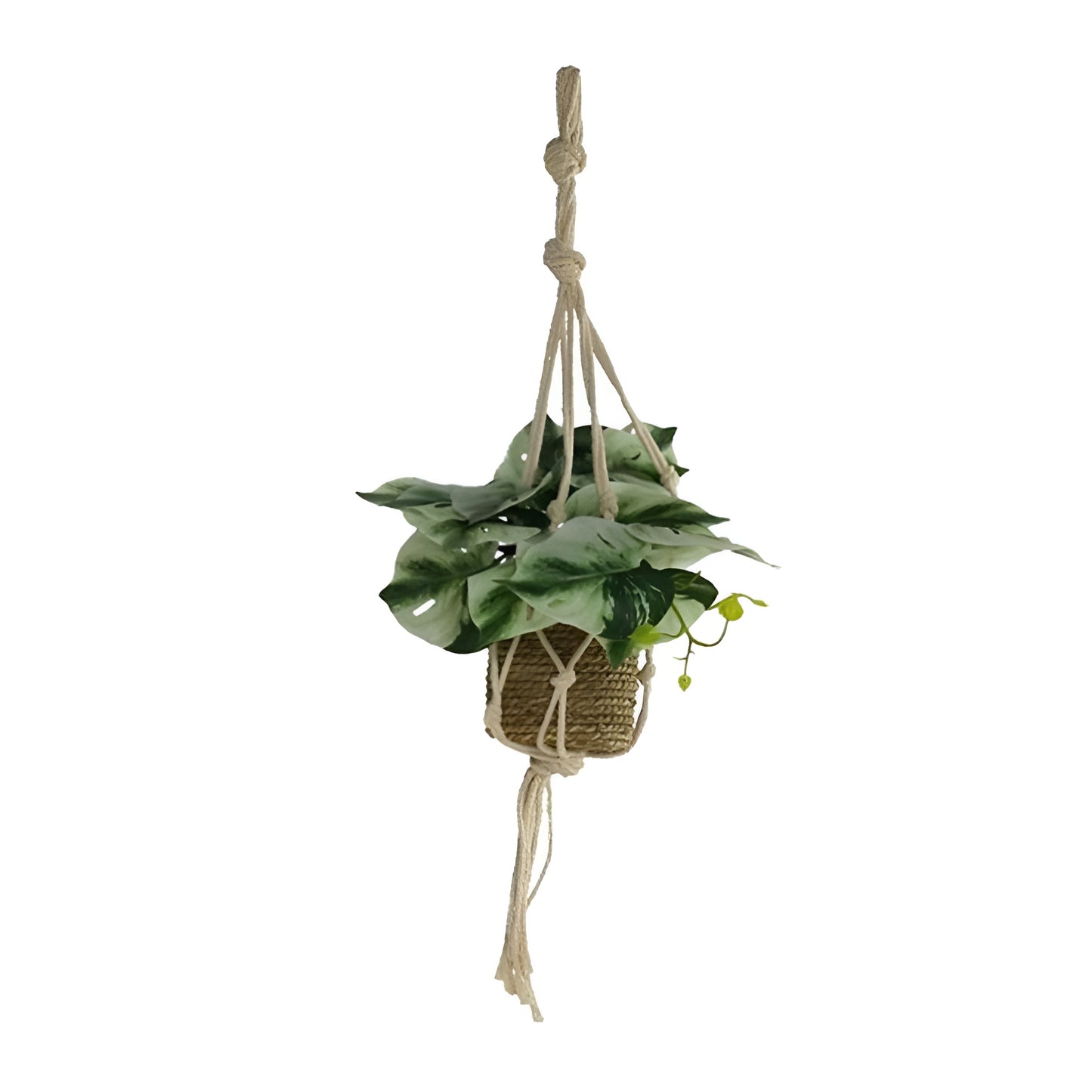 Hanging  Plant Pot - 55cm