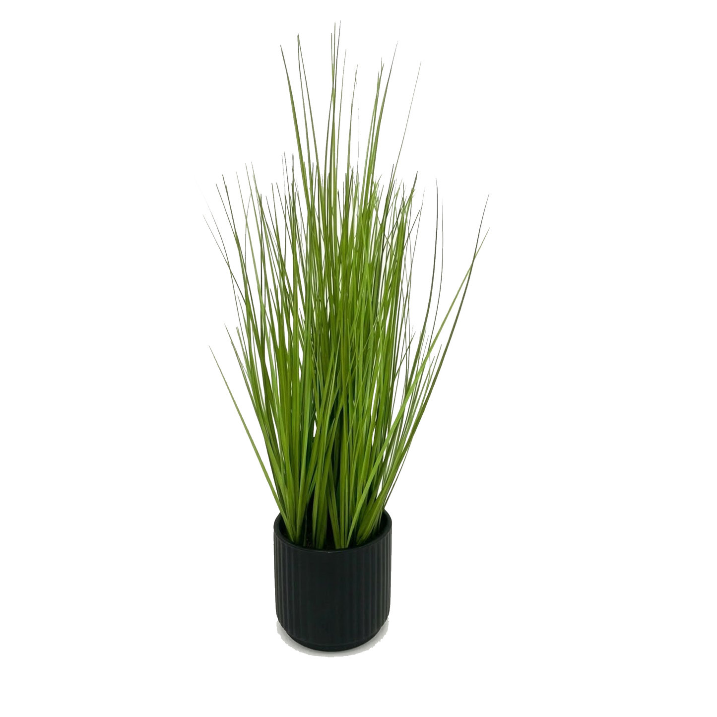 Decorative Grass - 48cm
