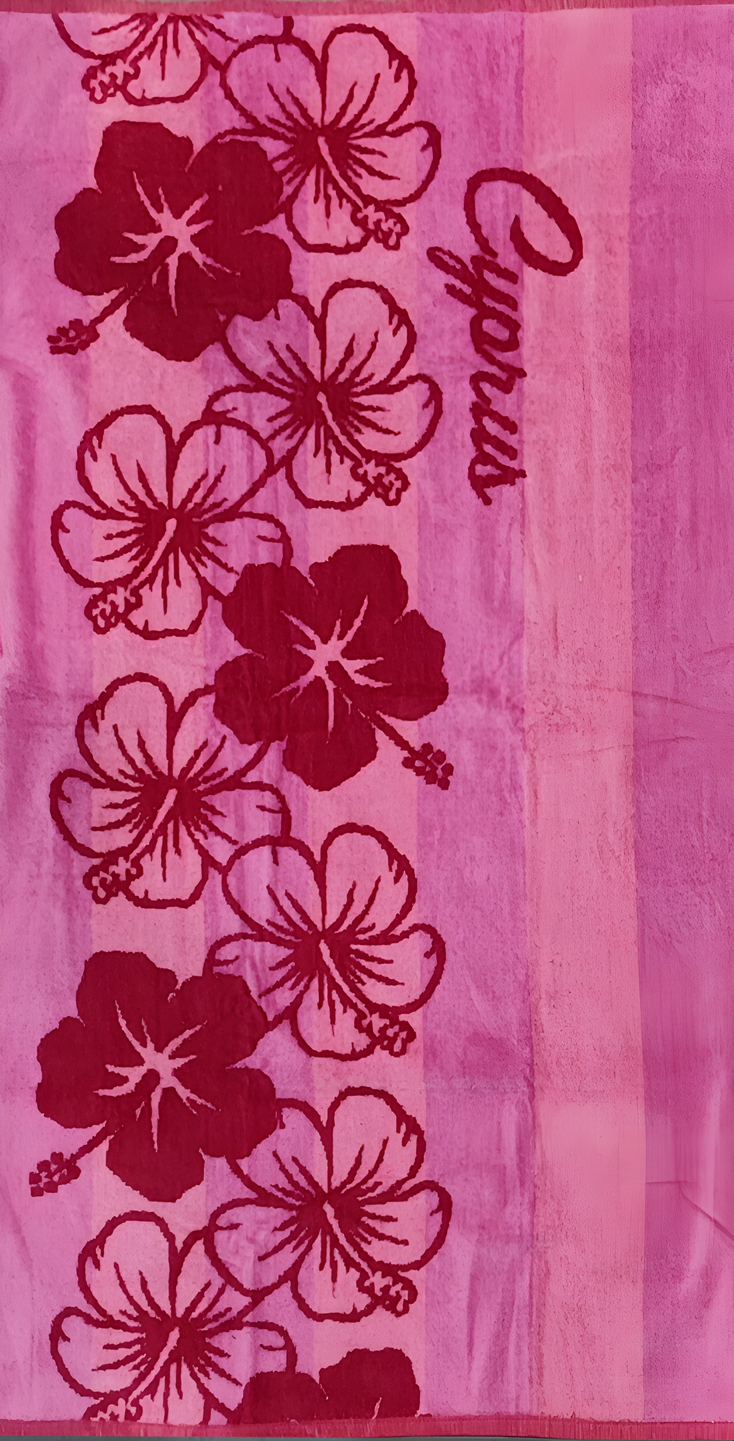 Assorted Shelly Velour Beach Towel