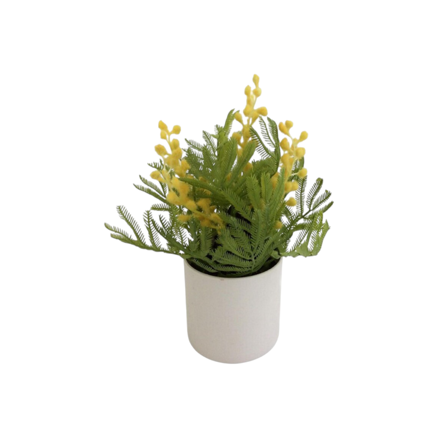 Mimosa Pot - 23cm