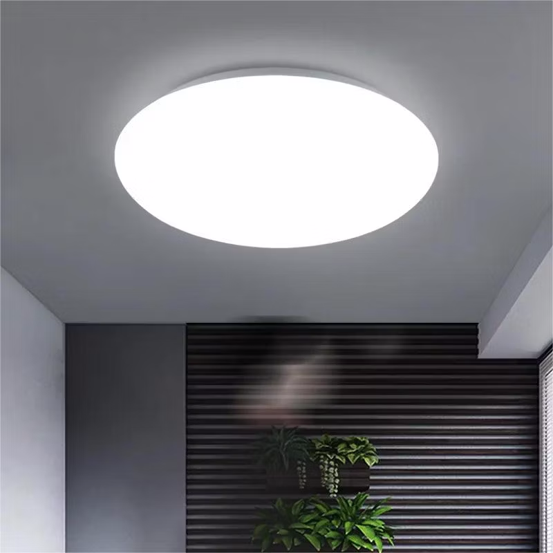 Ceiling Light