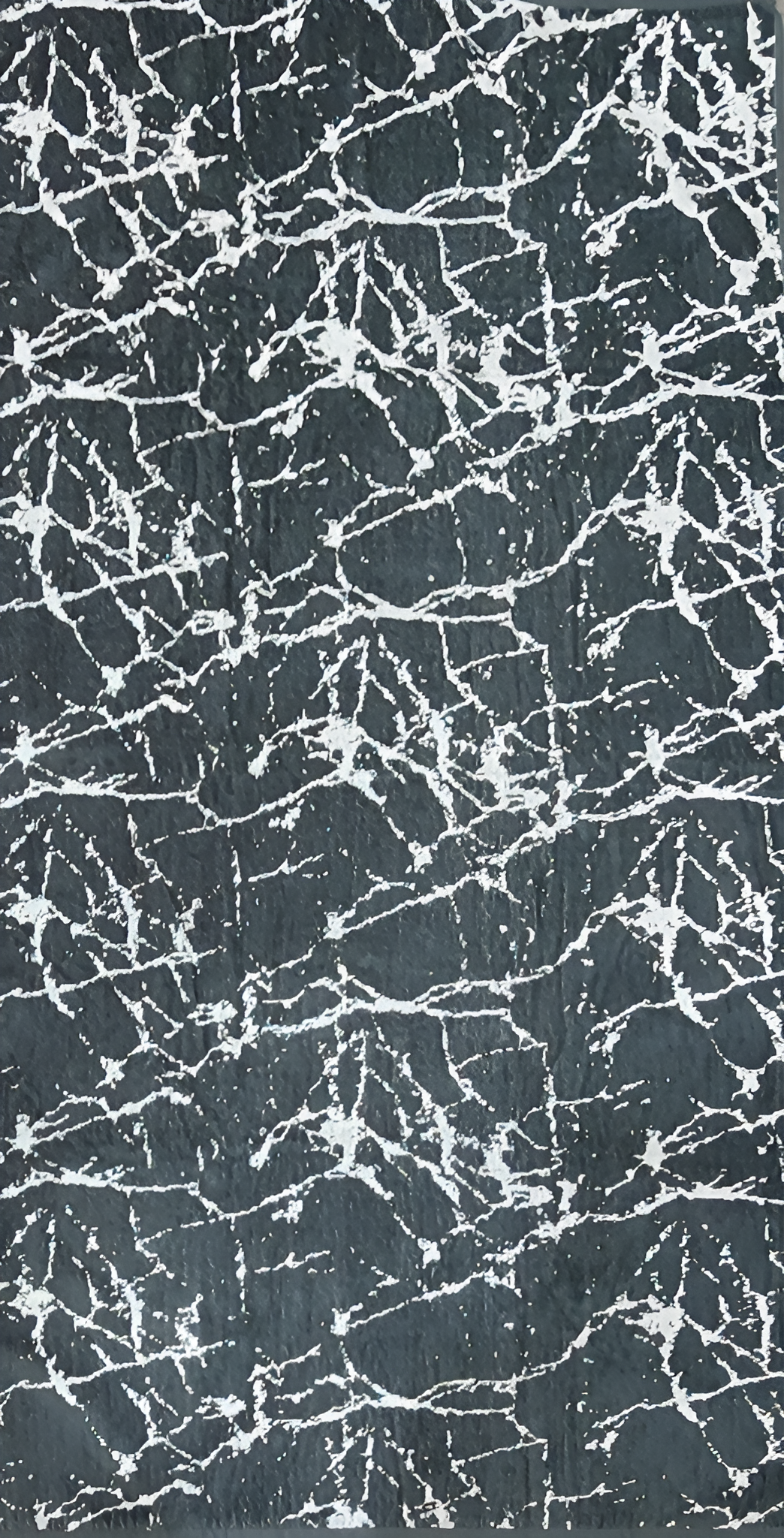 Assorted Shelly Velour Beach Towel