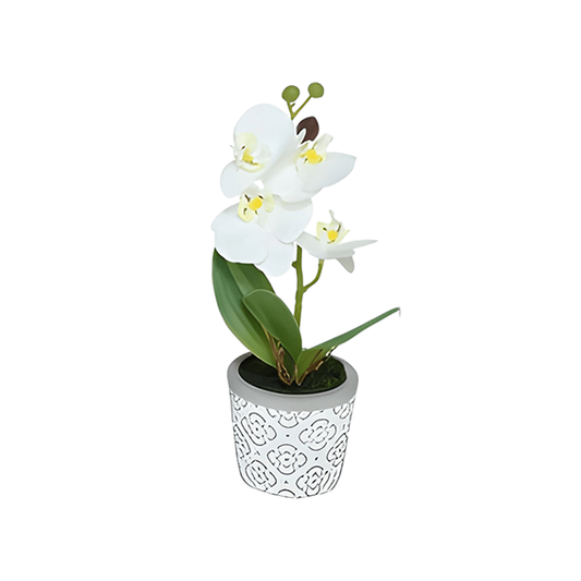 Orchid pot 24cm
