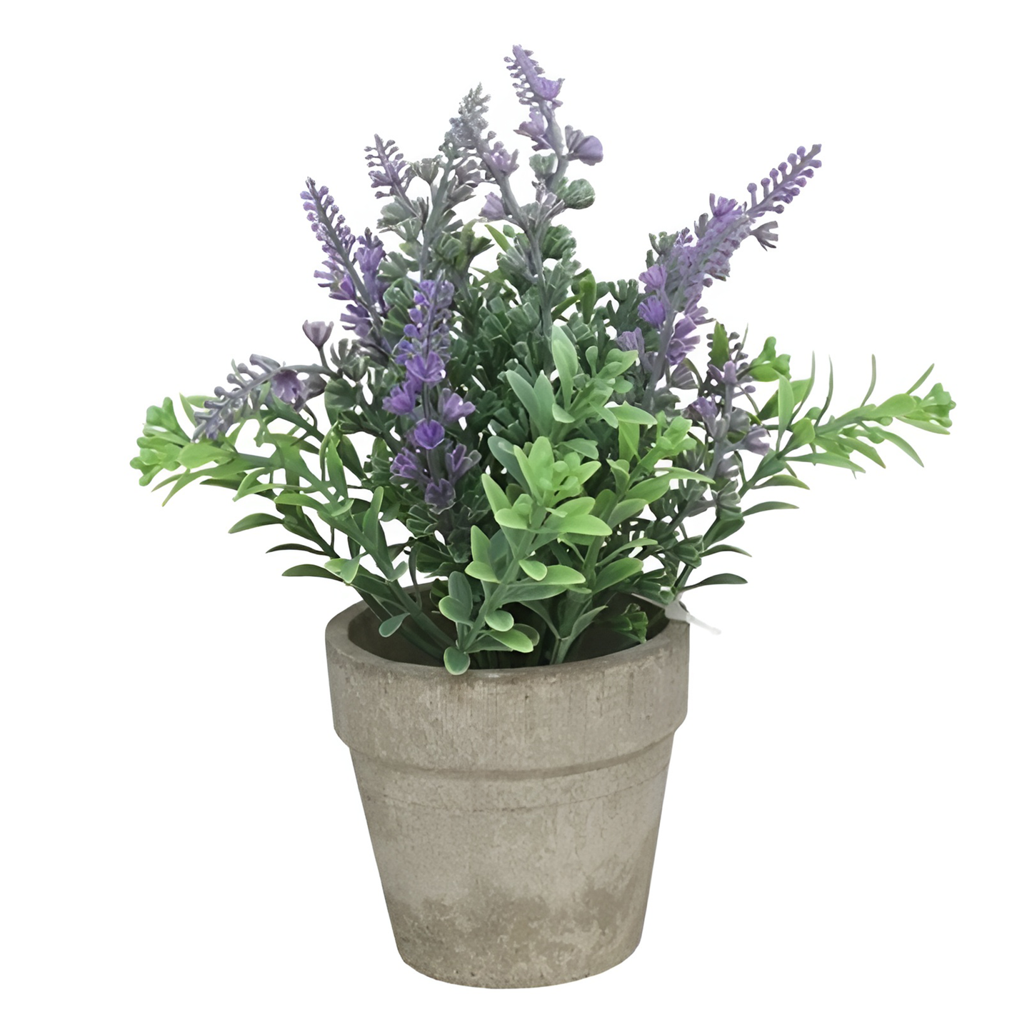 Lavender artificial plat