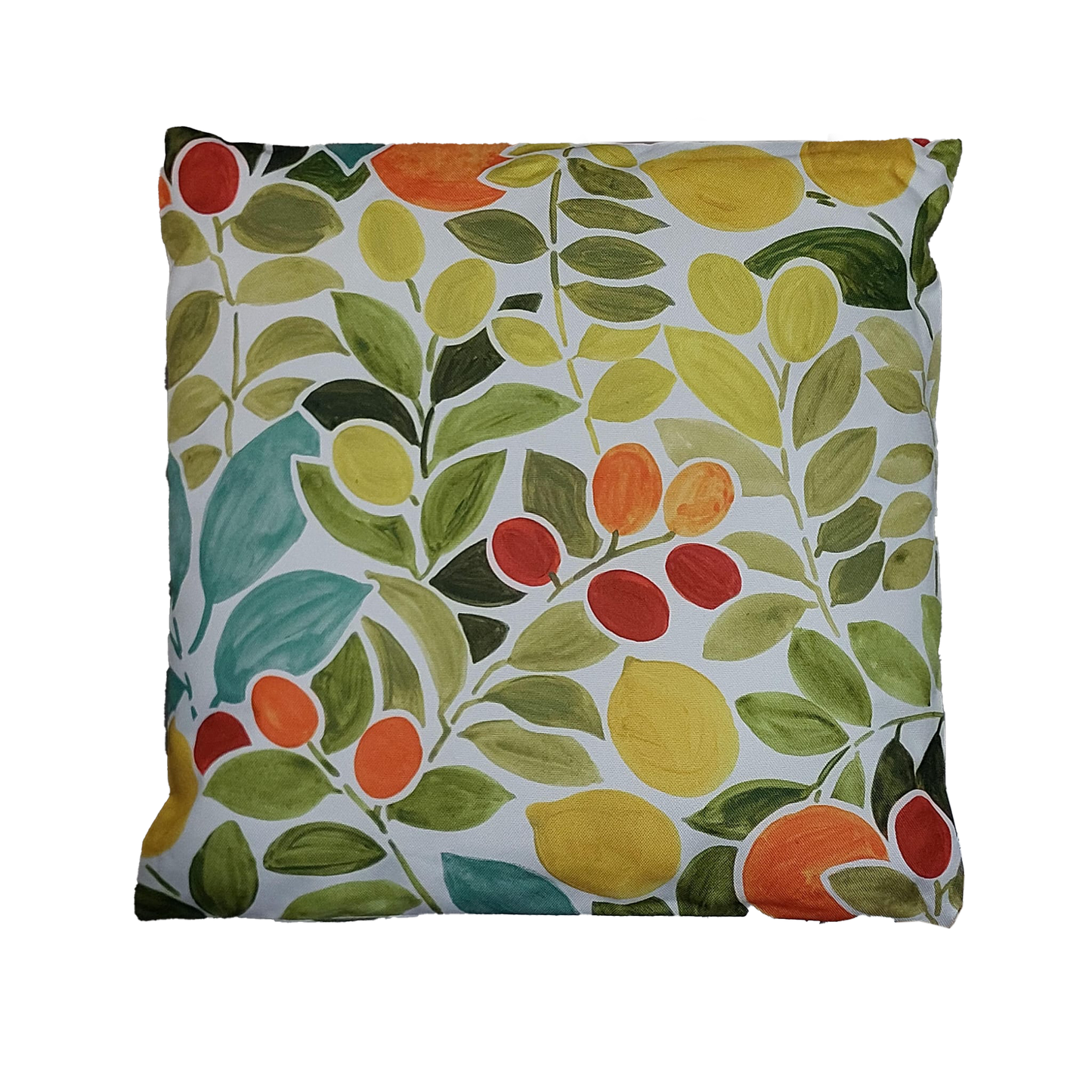 Outdoor Cushion