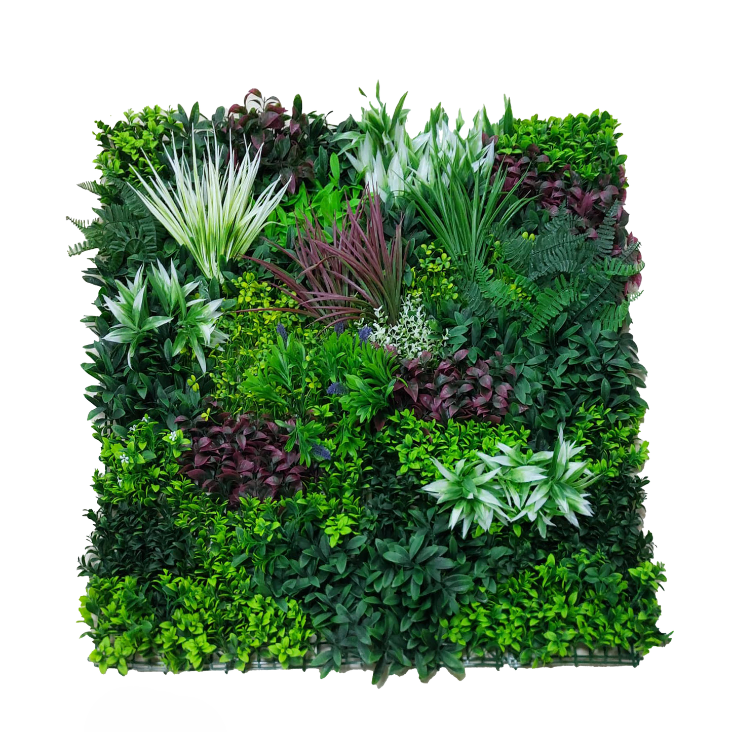 Vertical Garden 1x1m