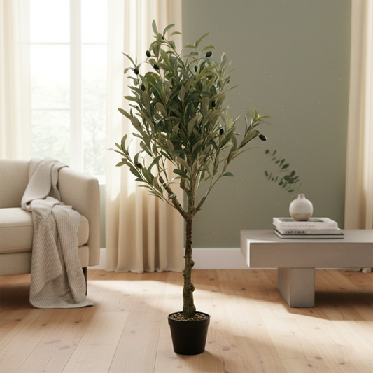 Olive Tree - 120cm