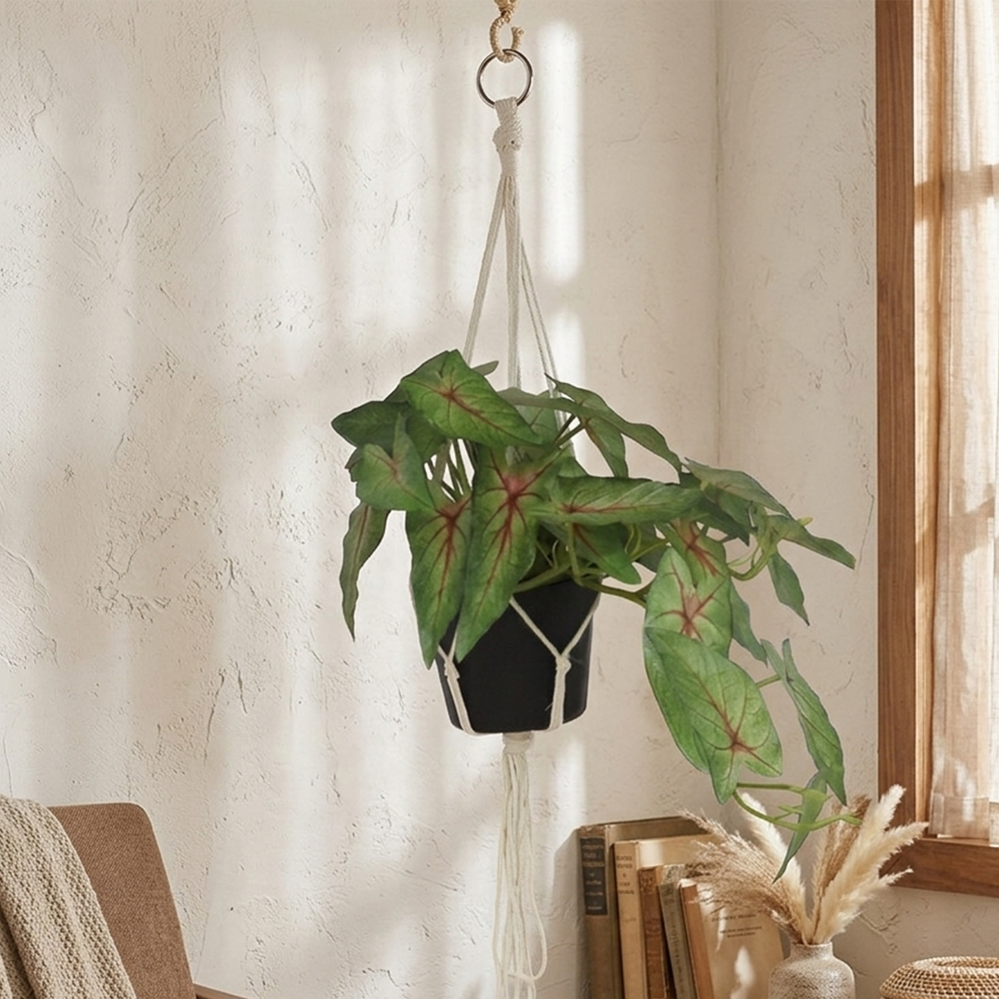 Caladium Hanging Pot - 68CM