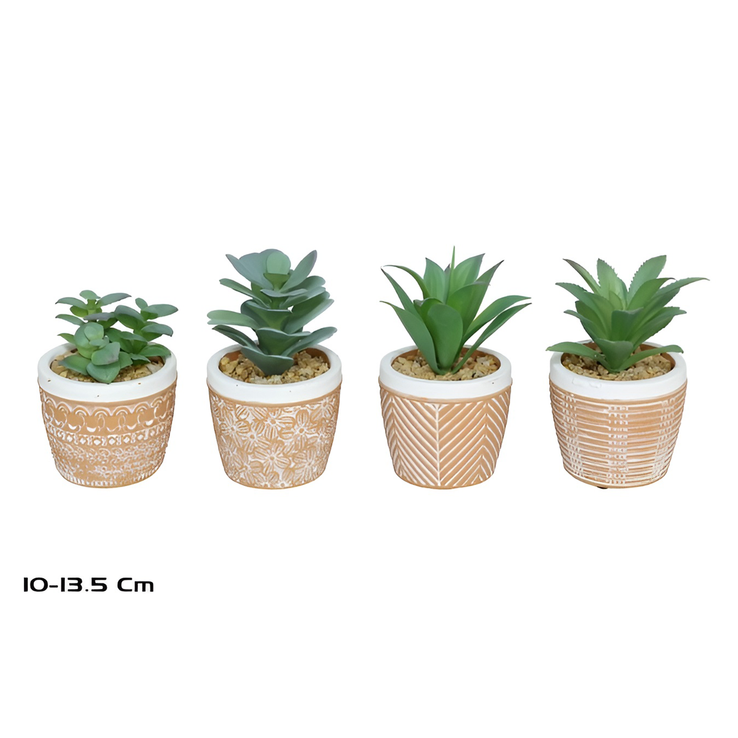 Assorted Succulents 10-13.5cm