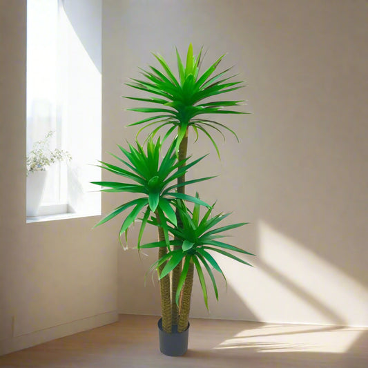 Yucca Plant 180cm