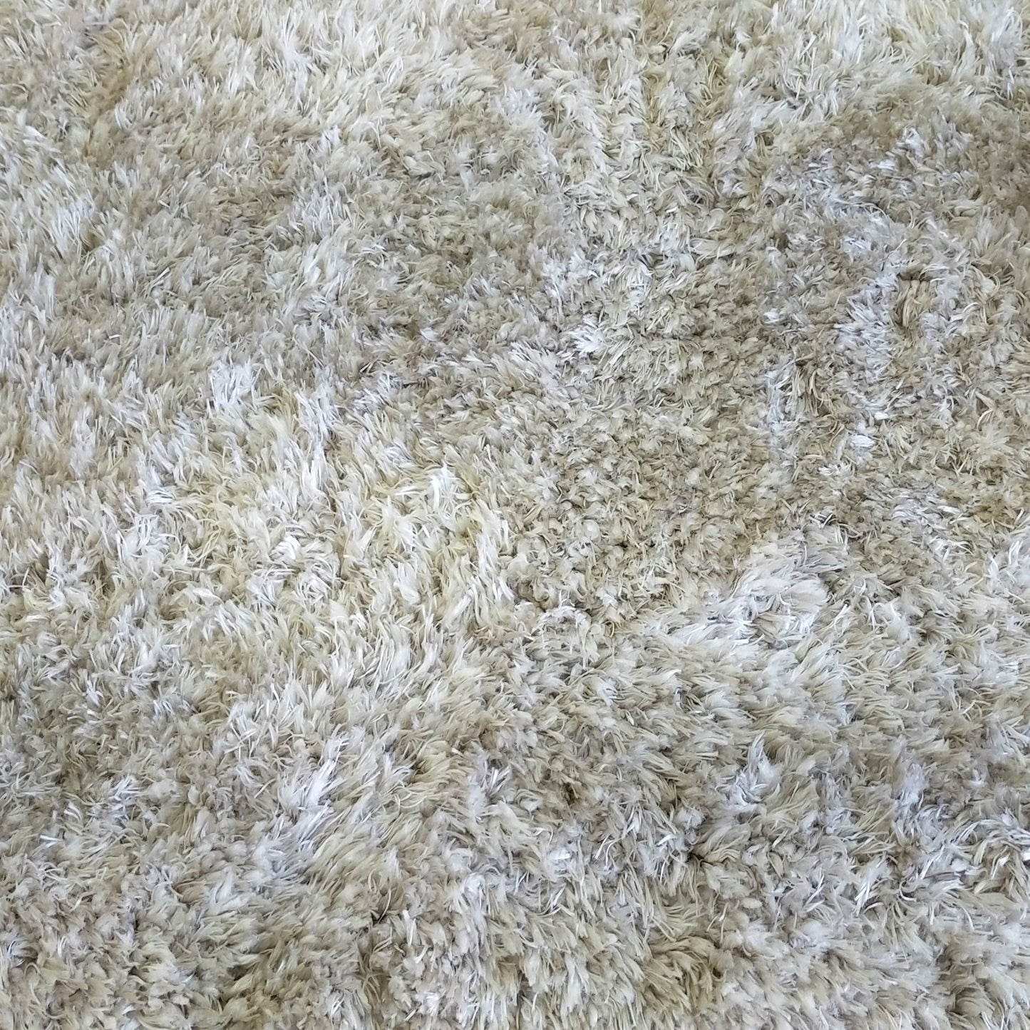 Carpet Chloe